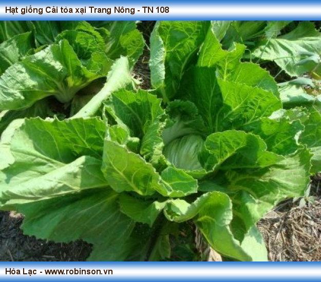 Hạt giống Cải tòa xại Trang Nông - TN 108 Nguyễn Văn	Biển  (3)