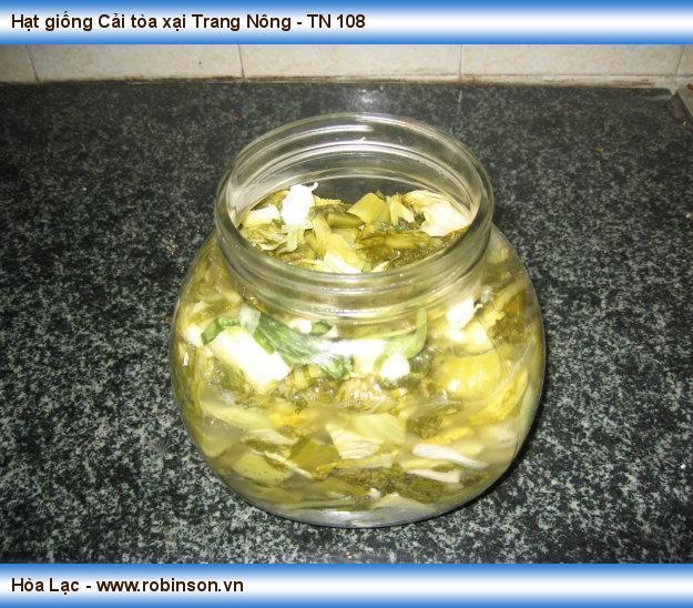 Hạt giống Cải tòa xại Trang Nông - TN 108 Nguyễn Văn	Biển  (5)