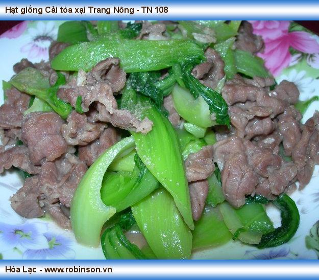 Hạt giống Cải tòa xại Trang Nông - TN 108 Nguyễn Văn	Biển  (8)