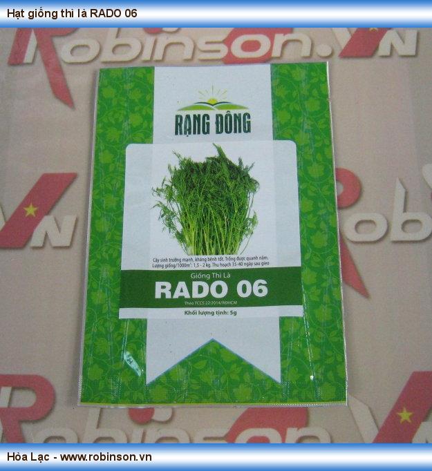 Hạt giống thì là RADO 06 Tri Phương  (1)