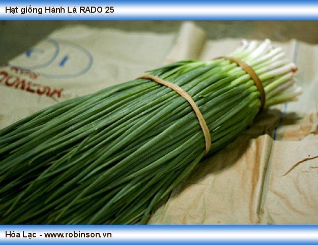 Hạt giống Hành Lá RADO 25 Trần Đình Hạnh  (9)