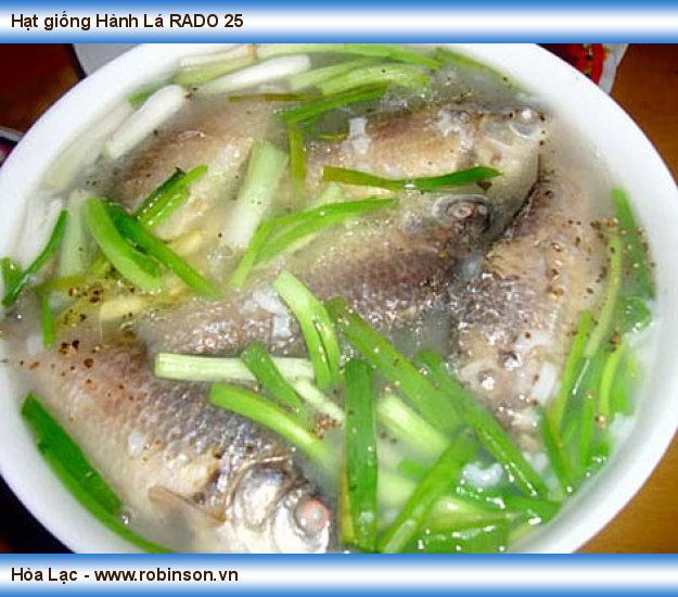 Hạt giống Hành Lá RADO 25 Trần Đình Hạnh  (13)