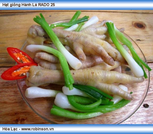 Hạt giống Hành Lá RADO 25 Trần Đình Hạnh  (14)