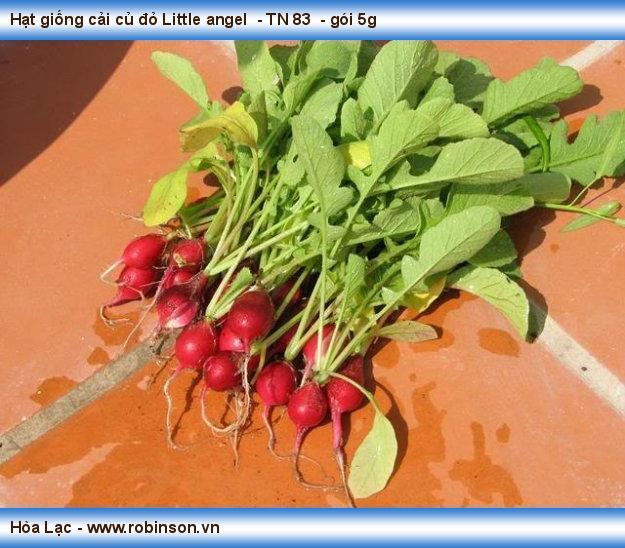 Hạt giống cải củ đỏ Little angel  - TN 83  - gói 5g  Kim Thành  (9)