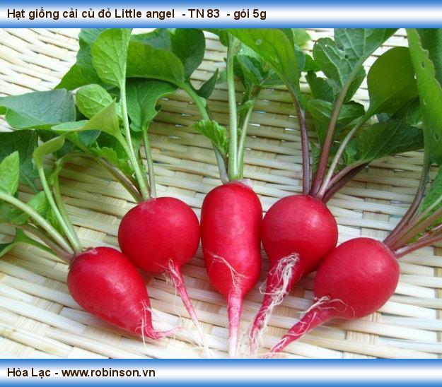 Hạt giống cải củ đỏ Little angel  - TN 83  - gói 5g  Kim Thành  (17)
