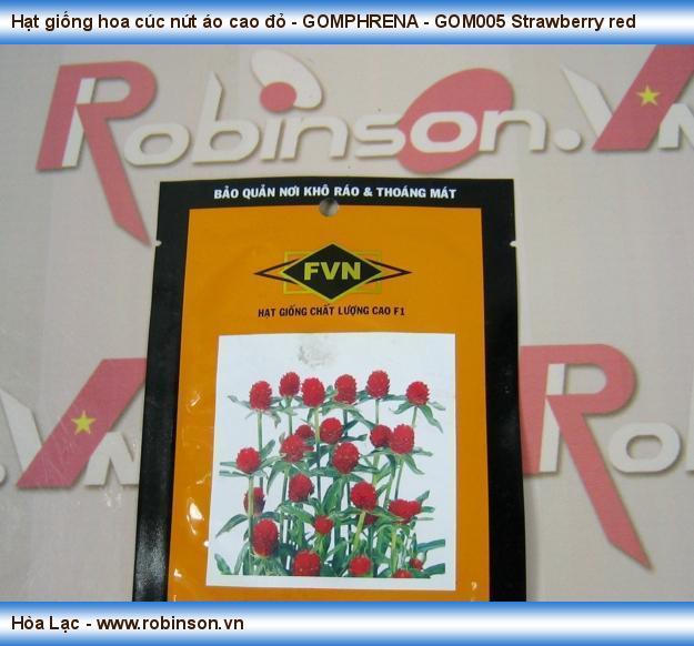 GOMPHRENA - GOM005 Strawberry red - Hạt giống hoa cúc nút áo cao đỏ  (1)